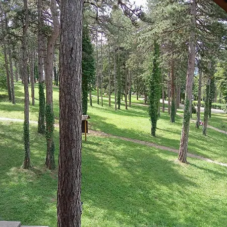 Prenociste/restoran Lovac Inn *