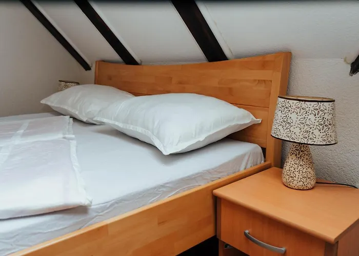 Prenociste/restoran Lovac Gasthof *