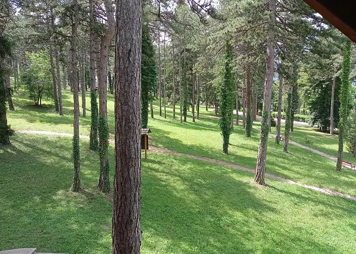 Prenociste/restoran Lovac Gasthof *