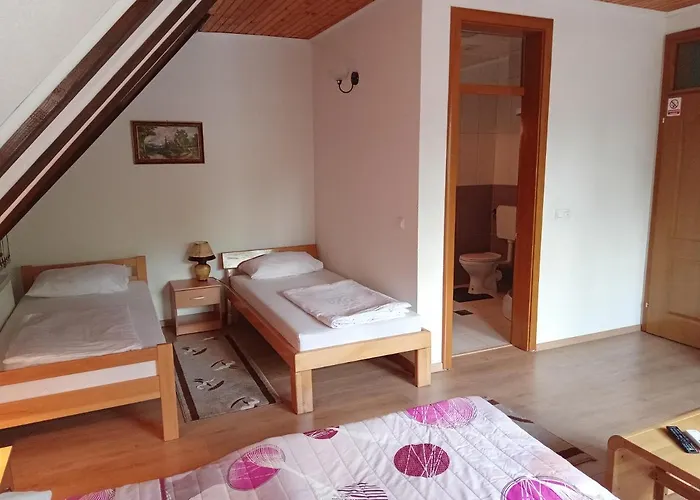 Prenociste/restoran Lovac Gasthof *